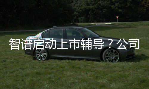 智譜啟動(dòng)上市輔導(dǎo)？公司回應(yīng)：正式啟動(dòng)IPO流程