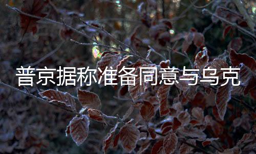 普京據(jù)稱準備同意與烏克蘭有條件地停戰(zhàn)，俄烏沖突的緩和前景展望