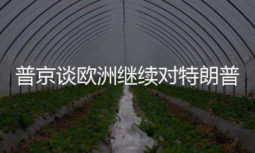 普京談歐洲繼續(xù)對特朗普搖尾巴，國際關(guān)系的新挑戰(zhàn)與解析