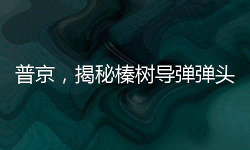普京，揭秘榛樹(shù)導(dǎo)彈彈頭極度耐高溫特性