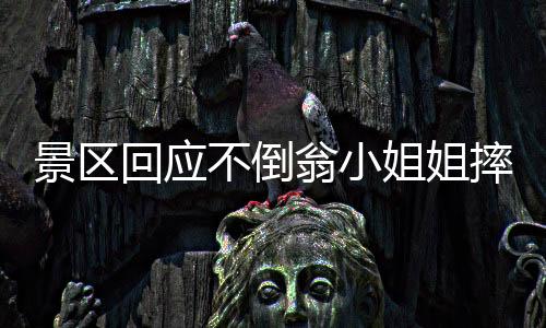 景區(qū)回應(yīng)不倒翁小姐姐摔倒事件，關(guān)注安全，保障游客體驗