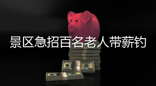 景區(qū)急招百名老人帶薪釣魚，垂釣體驗與休閑旅游結(jié)合創(chuàng)新服務(wù)模式