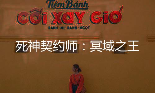 死神契約師：冥域之王