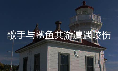 歌手與鯊魚共游遭遇咬傷事件