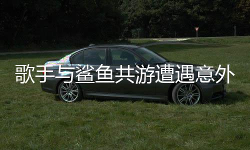 歌手與鯊魚共游遭遇意外，一場(chǎng)驚心動(dòng)魄的海洋冒險(xiǎn)