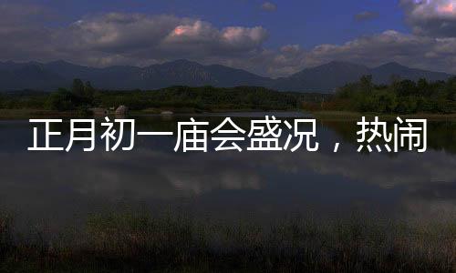 正月初一廟會(huì)盛況，熱鬧非凡的慶?；顒?dòng)