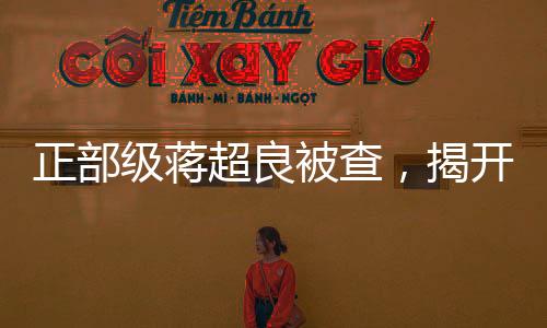 正部級蔣超良被查，揭開權(quán)力背后的真相
