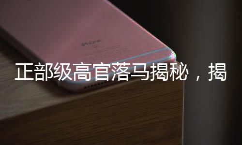 正部級高官落馬揭秘，揭秘逮捕過程及背后的深層原因