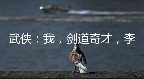 武俠：我，劍道奇才，李寒衣傾心