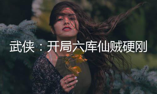 武俠：開局六庫仙賊硬剛不良帥