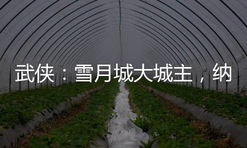 武俠：雪月城大城主，納妾李寒衣