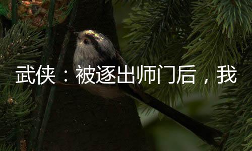 武俠：被逐出師門后，我中了狀元