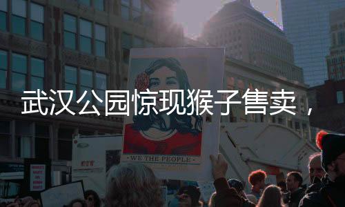 武漢公園驚現(xiàn)猴子售賣，單價(jià)高達(dá)三千元起，引發(fā)社會(huì)關(guān)注