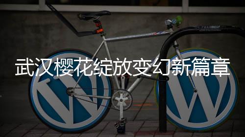 武漢櫻花綻放變幻新篇章，櫻花下的冰糖葫蘆情懷