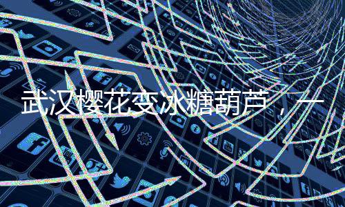 武漢櫻花變冰糖葫蘆，一場視覺盛宴的呈現(xiàn)