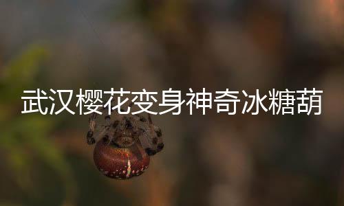武漢櫻花變身神奇冰糖葫蘆，美麗文化交融呈現(xiàn)城市新面貌