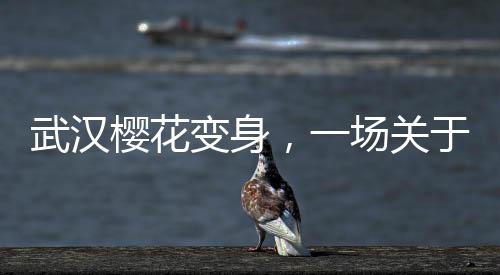 武漢櫻花變身，一場關(guān)于冰糖葫蘆的文化創(chuàng)意之旅