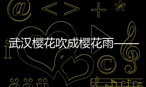 武漢櫻花吹成櫻花雨——綻放之城的美學(xué)奇跡
