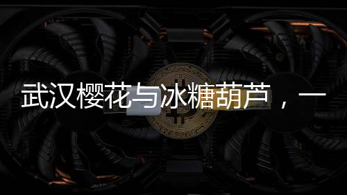 武漢櫻花與冰糖葫蘆，一場(chǎng)別樣的文化交融之旅