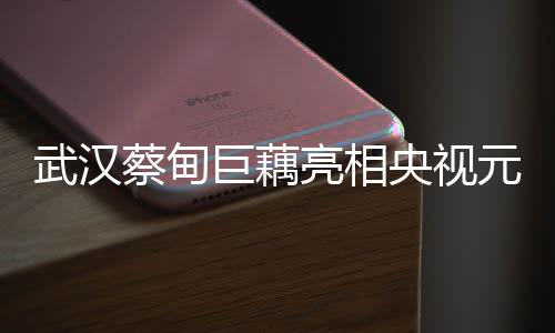 武漢蔡甸巨藕亮相央視元宵晚會(huì)，一展地方文化魅力
