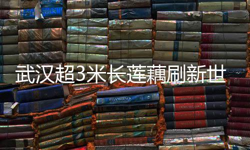 武漢超3米長蓮藕刷新世界紀(jì)錄