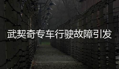 武契奇專車行駛故障引發(fā)關(guān)注