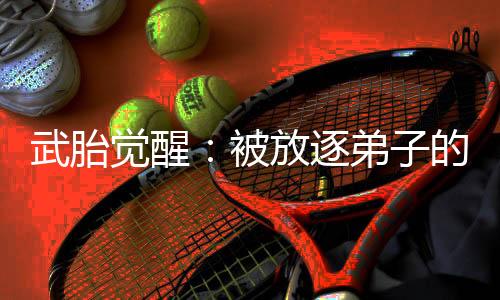 武胎覺(jué)醒：被放逐弟子的逆襲