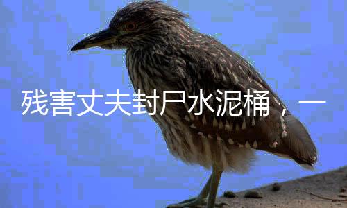 殘害丈夫封尸水泥桶，一樁令人震驚的家庭悲劇