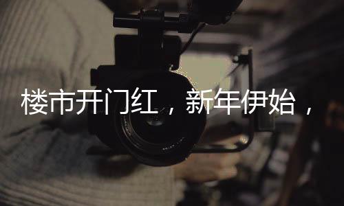 樓市開門紅，新年伊始，20城新房成交量同比增長達(dá)33%，開啟新篇章