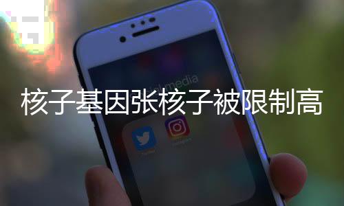 核子基因張核子被限制高消費——揭秘背后的原因