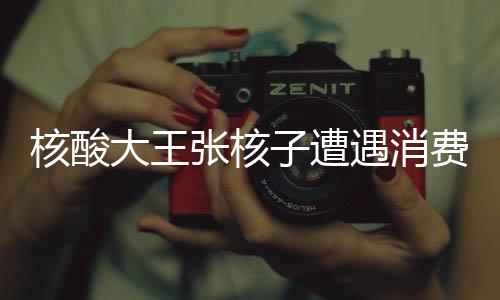 核酸大王張核子遭遇消費限制——揭示背后的故事與教訓(xùn)