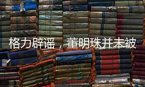 格力辟謠，董明珠并未被停職審查