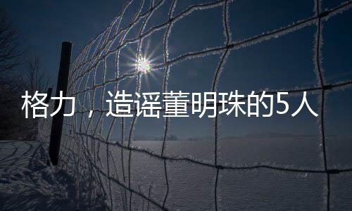 格力，造謠董明珠的5人被行政處罰