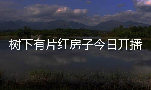 樹下有片紅房子今日開播，探索生活的真實(shí)與自然之美