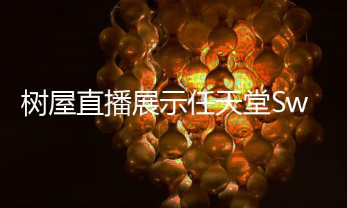 樹屋直播展示任天堂Switch 2《歡迎之旅》游戲畫面