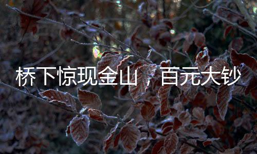 橋下驚現(xiàn)金山，百元大鈔鋪滿(mǎn)地