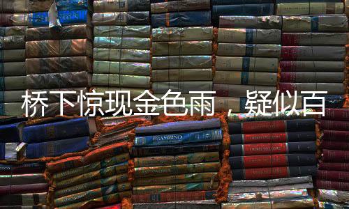 橋下驚現(xiàn)金色雨，疑似百元大鈔滿天飛舞，知情者首度發(fā)聲揭秘
