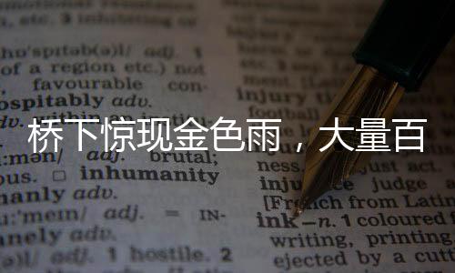 橋下驚現(xiàn)金色雨，大量百元大鈔散落一地，背后隱藏著哪些故事？