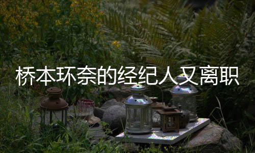 橋本環(huán)奈的經(jīng)紀人又離職了！這已經(jīng)是第九位