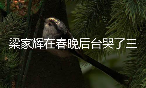 梁家輝在春晚后臺(tái)哭了三次，背后隱藏的深情與感動(dòng)