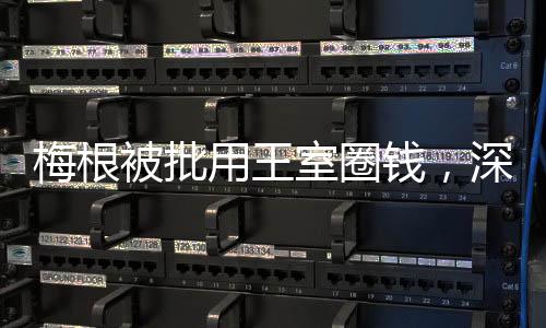 梅根被批用王室圈錢，深度探究事件背后真相
