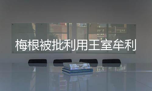 梅根被批利用王室牟利