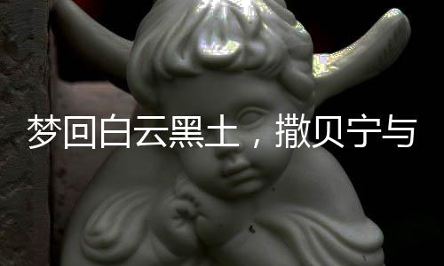 夢(mèng)回白云黑土，撒貝寧與機(jī)器人的奇妙相遇