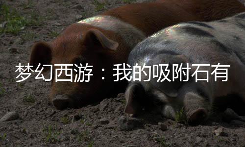 夢(mèng)幻西游：我的吸附石有億點(diǎn)強(qiáng)