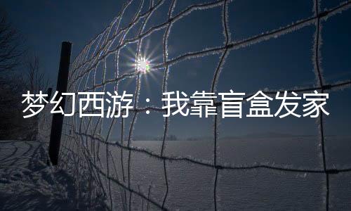 夢(mèng)幻西游：我靠盲盒發(fā)家致富