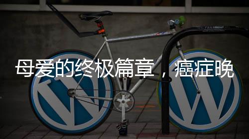 母愛的終極篇章，癌癥晚期的母親為女兒包餃子的堅強瞬間