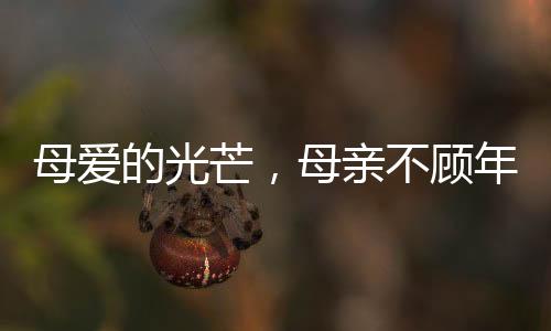 母愛的光芒，母親不顧年齡差異，勇敢捐腎救子患尿毒癥的寶貝兒子