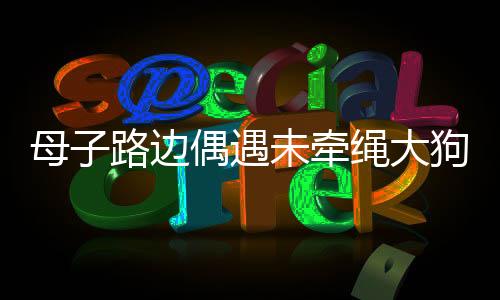 母子路邊偶遇未牽繩大狗，冷靜應(yīng)對(duì)，展現(xiàn)人性光輝