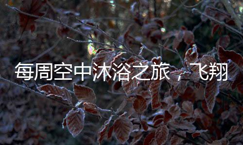 每周空中沐浴之旅，飛翔的洗護(hù)新風(fēng)尚