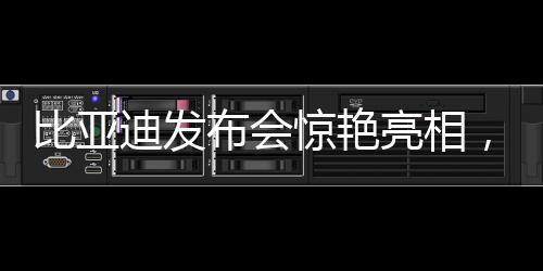 比亞迪發(fā)布會驚艷亮相，一口氣發(fā)布超過二十款全新車型